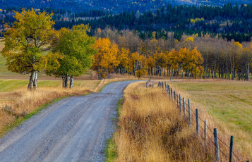 Картинка природа дороги простор