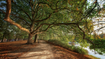 Картинка природа дороги простор