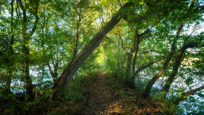 Обои картинки фото природа, реки, озера, простор