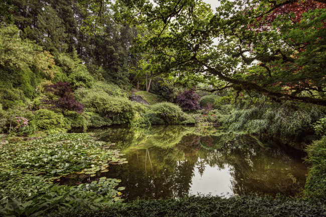 Обои картинки фото природа, реки, озера, простор