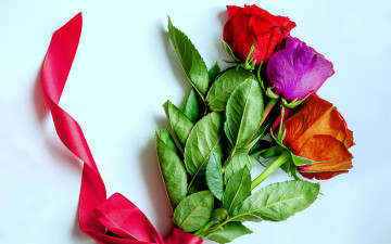 Картинка цветы розы лента букет трио