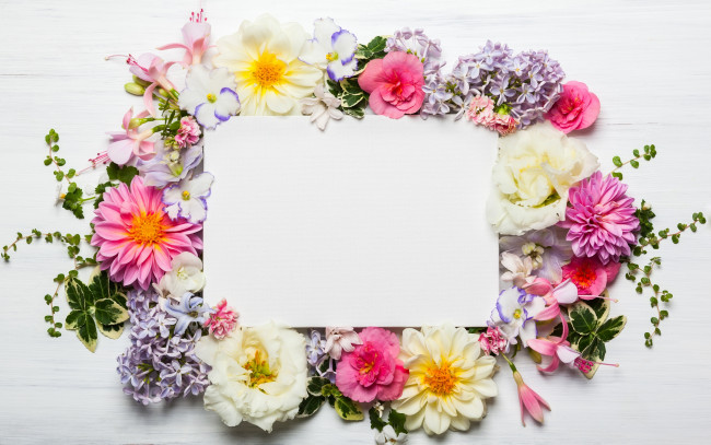 Обои картинки фото цветы, разные вместе, георгин, сирень, бегония, фуксия