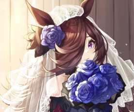 Картинка аниме uma+musume +pretty+derby uma musume pretty derby