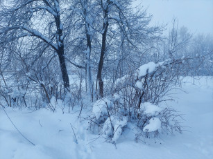 Картинка природа зима снег