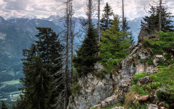 Картинка природа горы лес