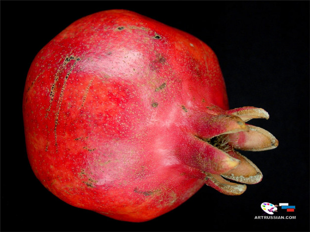 Обои картинки фото еда, гранат