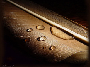 Картинка казюков разное капли брызги всплески