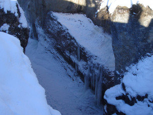 Картинка природа