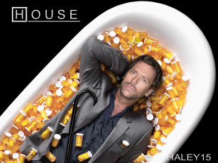 Картинка кино фильмы house