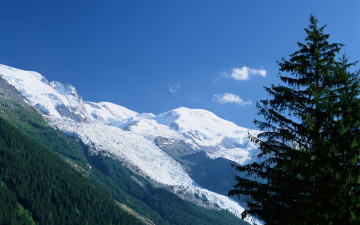 Картинка природа