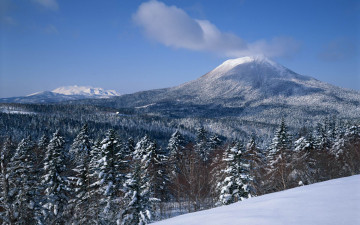 Картинка природа