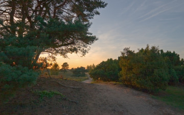 Картинка природа