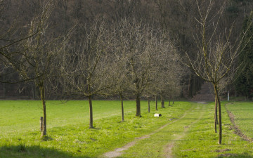 Картинка природа