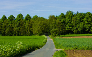 Картинка природа