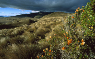 Картинка природа пейзажи