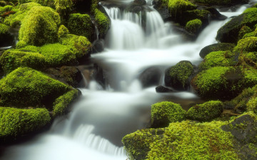 Картинка природа реки озера