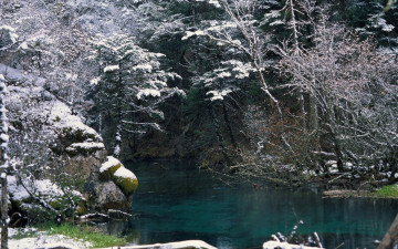 Картинка природа реки озера