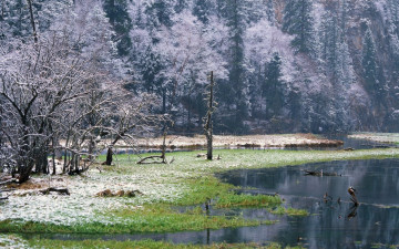 Картинка природа реки озера