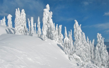 Картинка природа зима