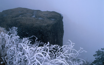 Картинка природа зима