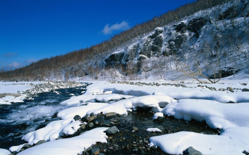 Картинка природа зима