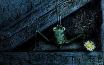 Картинка рисованные животные