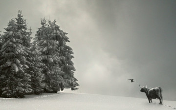 обоя рисованные, животные, коровы