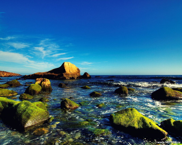 Обои картинки фото 