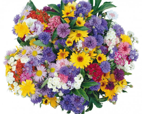 Обои картинки фото цветы, букеты, композиции