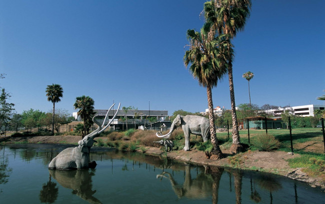 Обои картинки фото города, памятники, скульптуры, арт, объекты