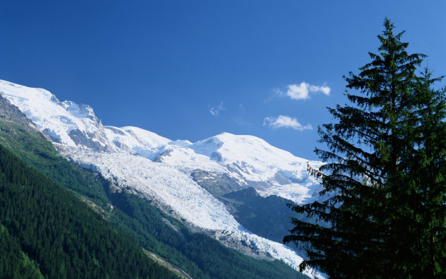 Обои картинки фото природа