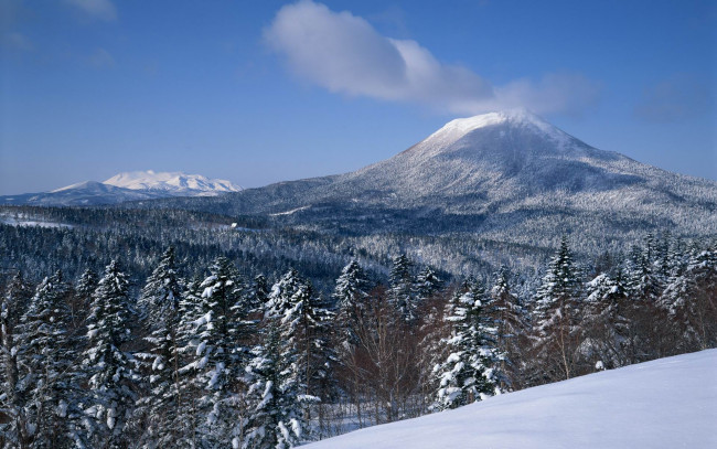 Обои картинки фото природа