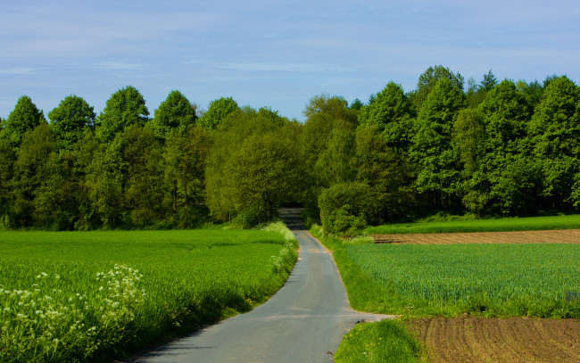 Обои картинки фото природа