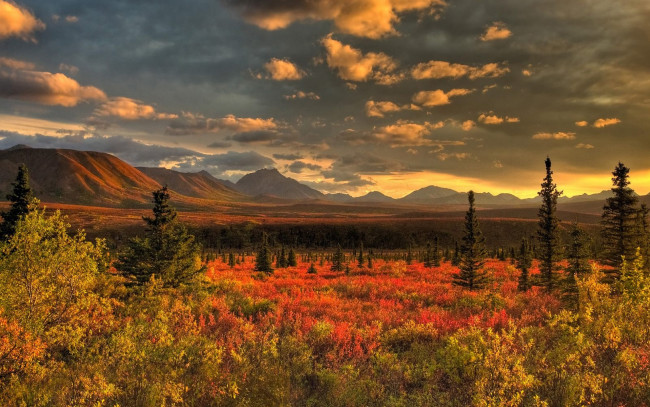 Обои картинки фото природа, пейзажи