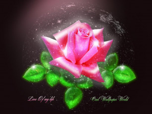 Картинка рисованные цветы