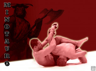 Картинка спорт mix fight