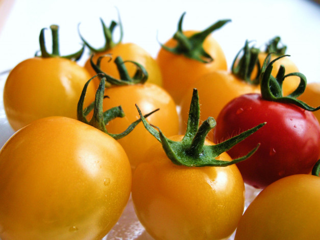 Обои картинки фото еда, помидоры, томаты