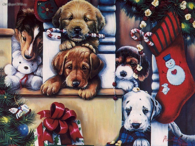 Обои картинки фото рисованные, животные