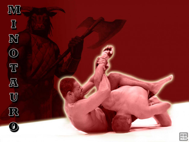 Обои картинки фото спорт, mix, fight