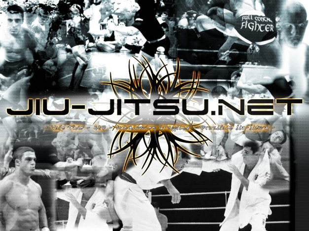 Обои картинки фото спорт, mix, fight