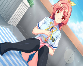 Картинка no pantsu аниме