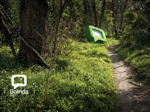 Картинка bolinda бренды