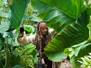 Картинка pirates of the caribbean on stranger tides кино фильмы