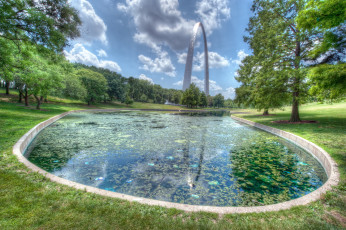 Картинка природа парк трава деревья пруд