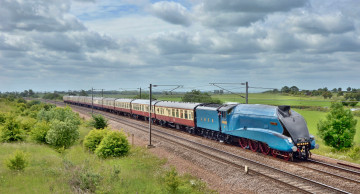 Картинка техника паровозы железная дорога рельсы паровоз состав