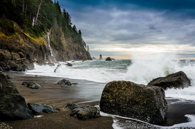 Обои картинки фото природа, побережье, скалы, камни, тучи, лес, пляж, океан