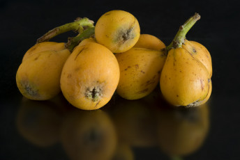 Картинка еда фрукты +ягоды плоды