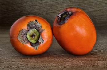 Картинка еда хурма