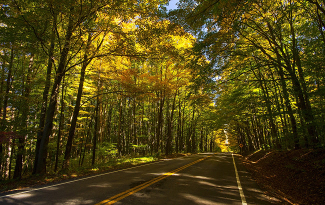 Обои картинки фото природа, дороги, шоссе, лес