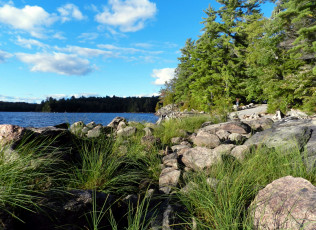 Картинка природа реки озера камни река деревья лето